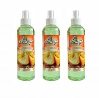 Ebrayn Oto Ve Oda Kokusu  250 ml Kavun 3 Adet