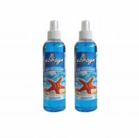 Ebrayn Oto Ve Oda Kokusu  250 ml Okyanus 2 Adet