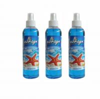 Ebrayn Oto Ve Oda Kokusu  250 ml Okyanus 3 Adet