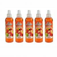 Ebrayn Oto Ve Oda Kokusu  250 ml Tofita 5 Adet