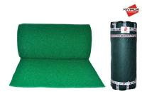 Kıvırcık Paspas Yeşil